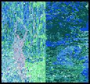 Caprice : Songs of Innocence and Experience